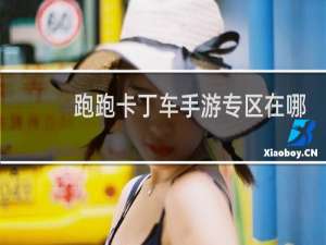 跑跑卡丁车手游专区在哪