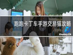 跑跑卡丁车手游交易猫攻略