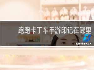 跑跑卡丁车手游印记在哪里