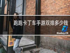 跑跑卡丁车手游双排多少钱