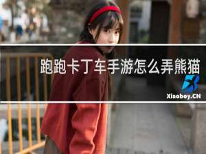 跑跑卡丁车手游怎么弄熊猫