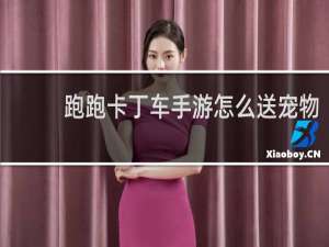 跑跑卡丁车手游怎么送宠物