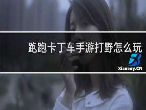 跑跑卡丁车手游打野怎么玩