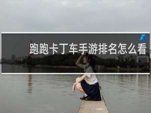 跑跑卡丁车手游排名怎么看
