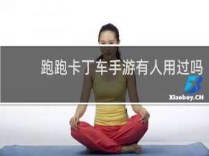 跑跑卡丁车手游有人用过吗
