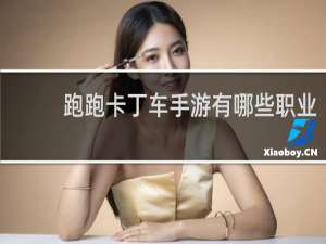 跑跑卡丁车手游有哪些职业