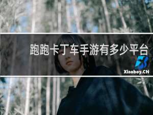跑跑卡丁车手游有多少平台