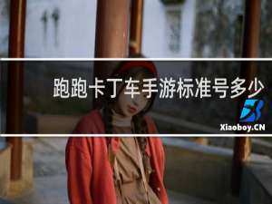 跑跑卡丁车手游标准号多少