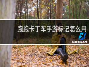 跑跑卡丁车手游标记怎么用