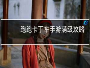 跑跑卡丁车手游满级攻略