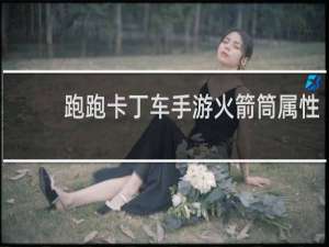 跑跑卡丁车手游火箭筒属性