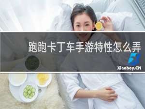 跑跑卡丁车手游特性怎么弄