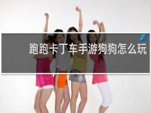 跑跑卡丁车手游狗狗怎么玩