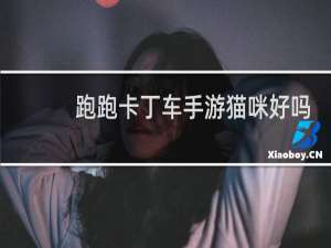 跑跑卡丁车手游猫咪好吗