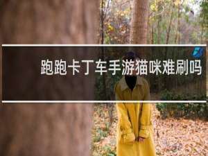 跑跑卡丁车手游猫咪难刷吗