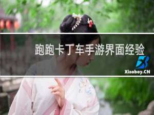 跑跑卡丁车手游界面经验