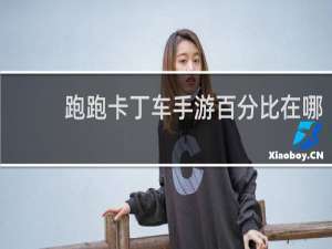 跑跑卡丁车手游百分比在哪