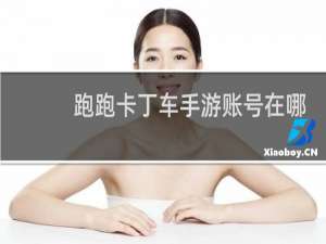 跑跑卡丁车手游账号在哪