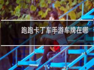 跑跑卡丁车手游车牌在哪