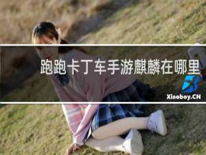 跑跑卡丁车手游麒麟在哪里