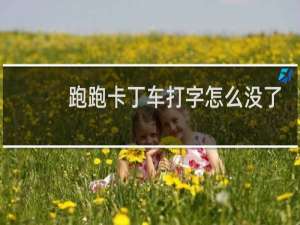 跑跑卡丁车打字怎么没了