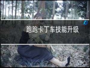 跑跑卡丁车技能升级