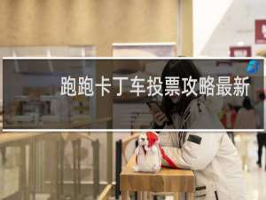 跑跑卡丁车投票攻略最新