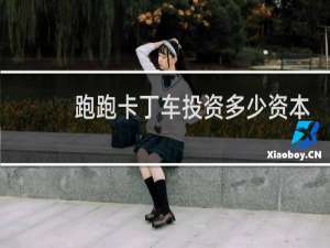 跑跑卡丁车投资多少资本
