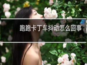 跑跑卡丁车抖动怎么回事