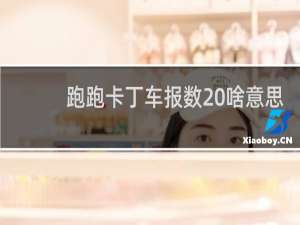 跑跑卡丁车报数 啥意思