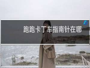 跑跑卡丁车指南针在哪