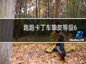 跑跑卡丁车挚友等级6