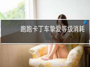 跑跑卡丁车挚爱等级消耗