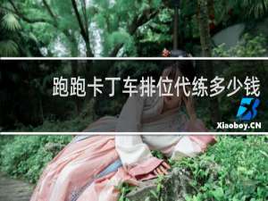 跑跑卡丁车排位代练多少钱