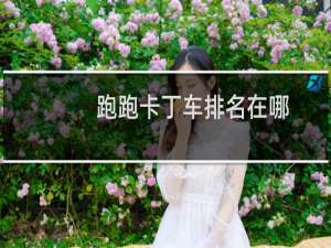 跑跑卡丁车排名在哪