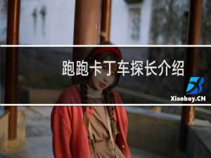 跑跑卡丁车探长介绍