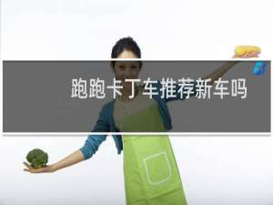 跑跑卡丁车推荐新车吗