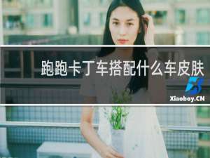 跑跑卡丁车搭配什么车皮肤