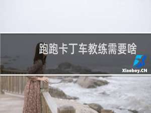 跑跑卡丁车教练需要啥