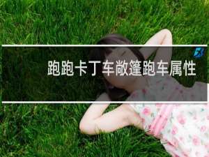 跑跑卡丁车敞篷跑车属性