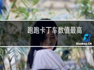 跑跑卡丁车数值最高