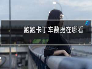 跑跑卡丁车数据在哪看