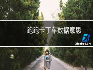 跑跑卡丁车数据意思