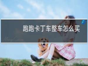 跑跑卡丁车整车怎么买