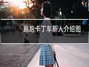 跑跑卡丁车新人介绍图