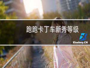 跑跑卡丁车新秀等级