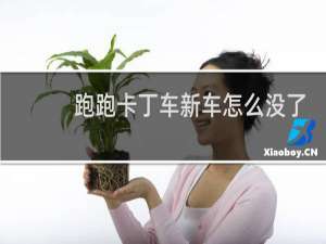 跑跑卡丁车新车怎么没了