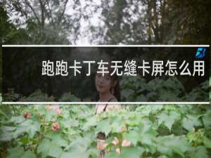 跑跑卡丁车无缝卡屏怎么用