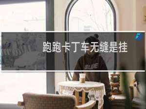 跑跑卡丁车无缝是挂