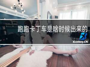 跑跑卡丁车是啥时候出来的